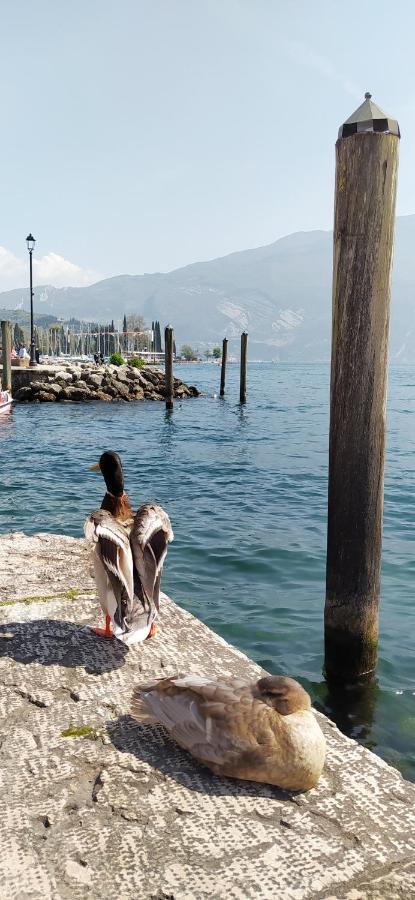 Riva Del Garda Nest Apartment Ngoại thất bức ảnh